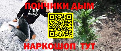 крисы Новозыбков