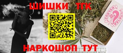 крисы Новозыбков