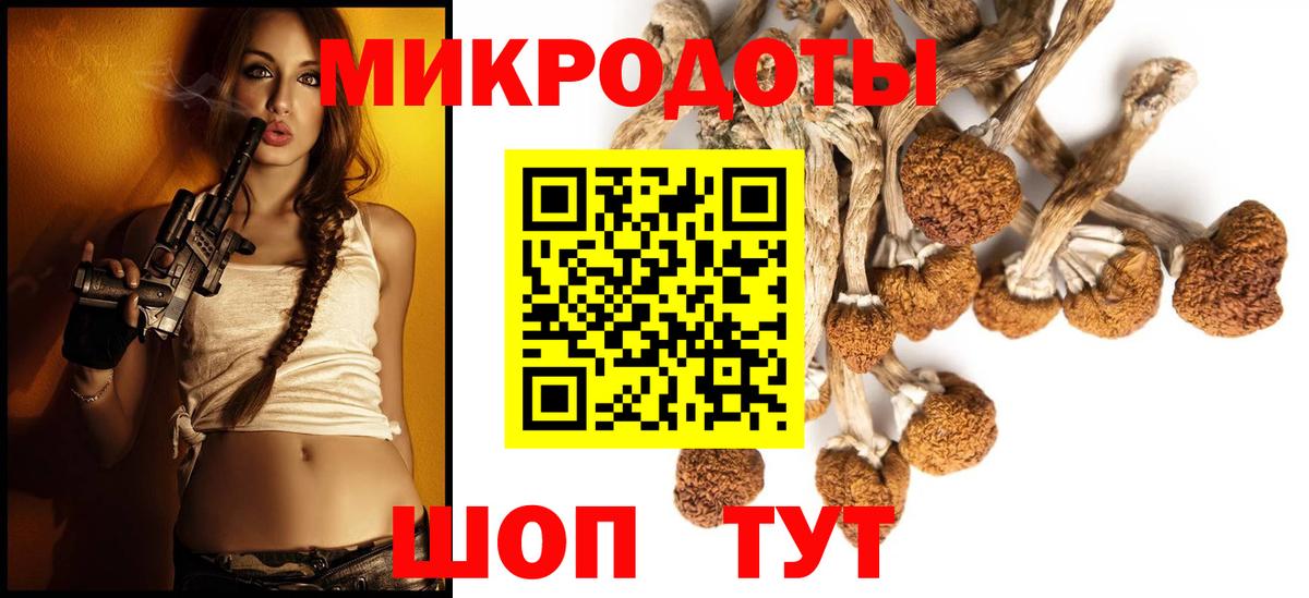 Галлюциногенные грибы MAGIC MUSHROOMS Сыктывкар